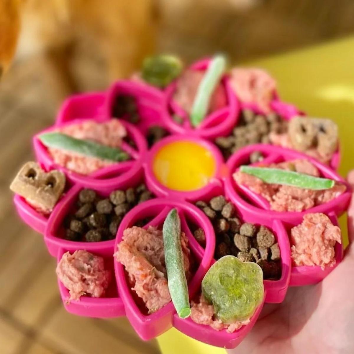 The Perfect Blend Mixing Raw and Kibble for a Healthier Pup Doodle Dogs