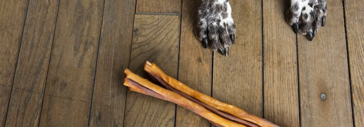 Bully Sticks, Bones & Chews