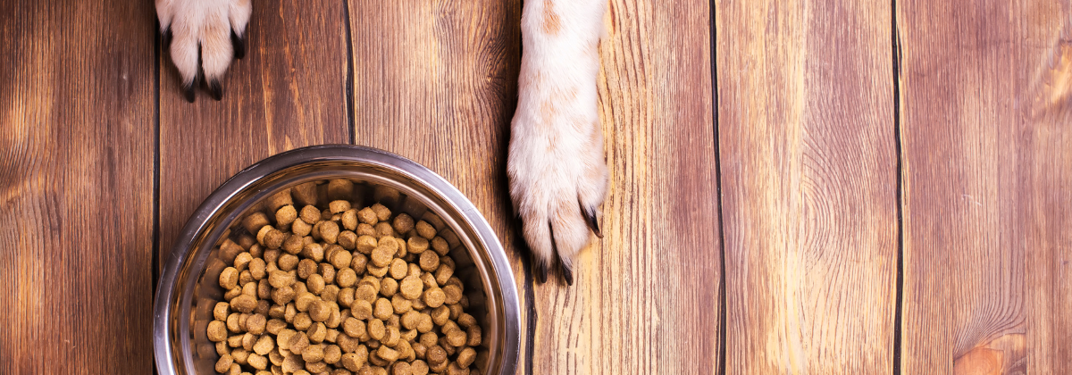 Kibble food for shop dogs