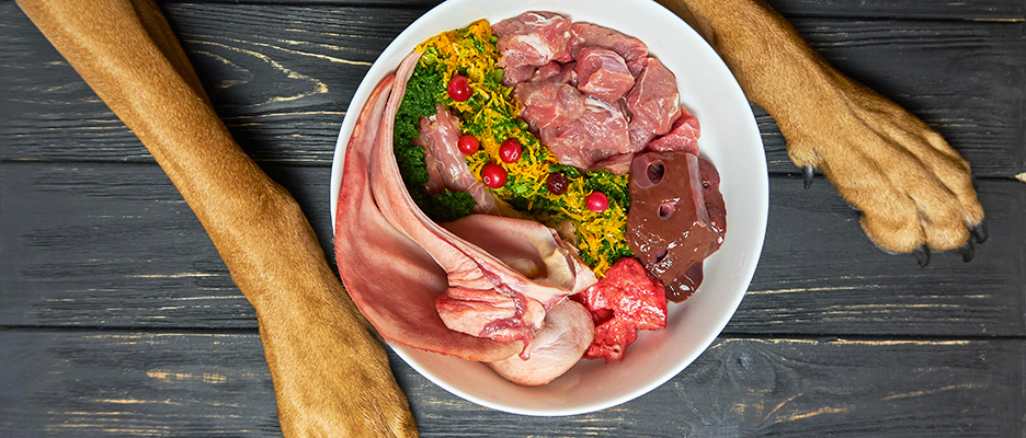 Raw Food Dog Doodle Dogs