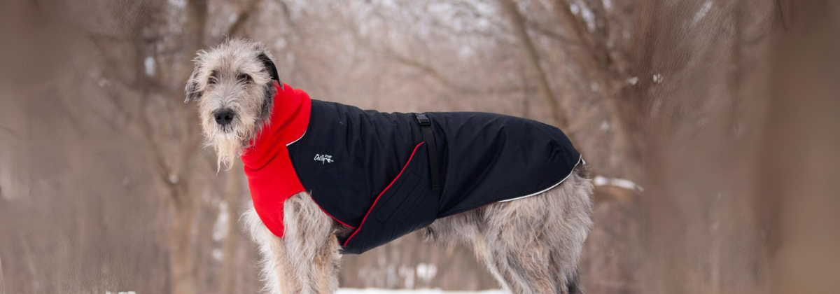 Pretty online dog coats