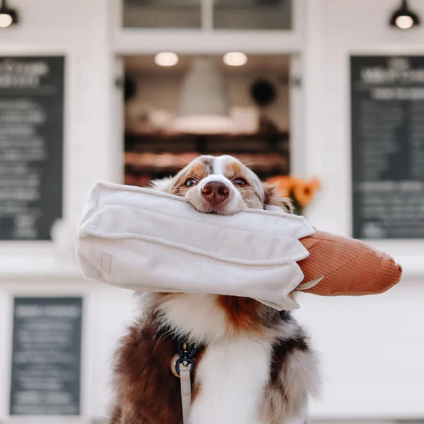 Lambwolf Collective - Baguette Dog Toy