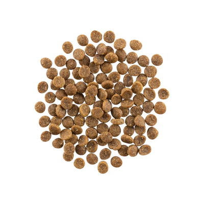 Go! - Carnivore Grain-Free - Dry Cat Food