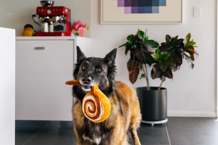 P.L.A.Y. - Pup Cup Café, Cinna-bone