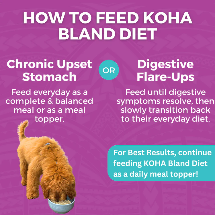 Koha - Limited Ingredient Bland Diet Recipe for Dogs