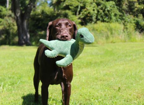 Tall Tails - Nessie Dog Toy