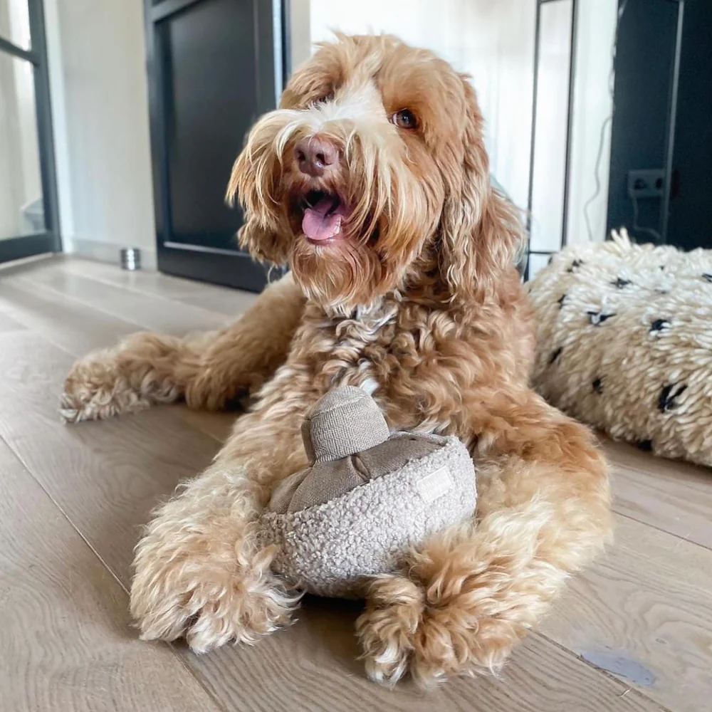 Lambwolf Collective - Guu Snuffle Mushroom Dog Toy