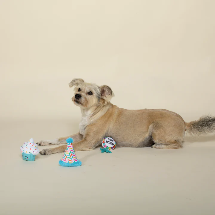 Fringe - Happy Bark-Day 3-Pack