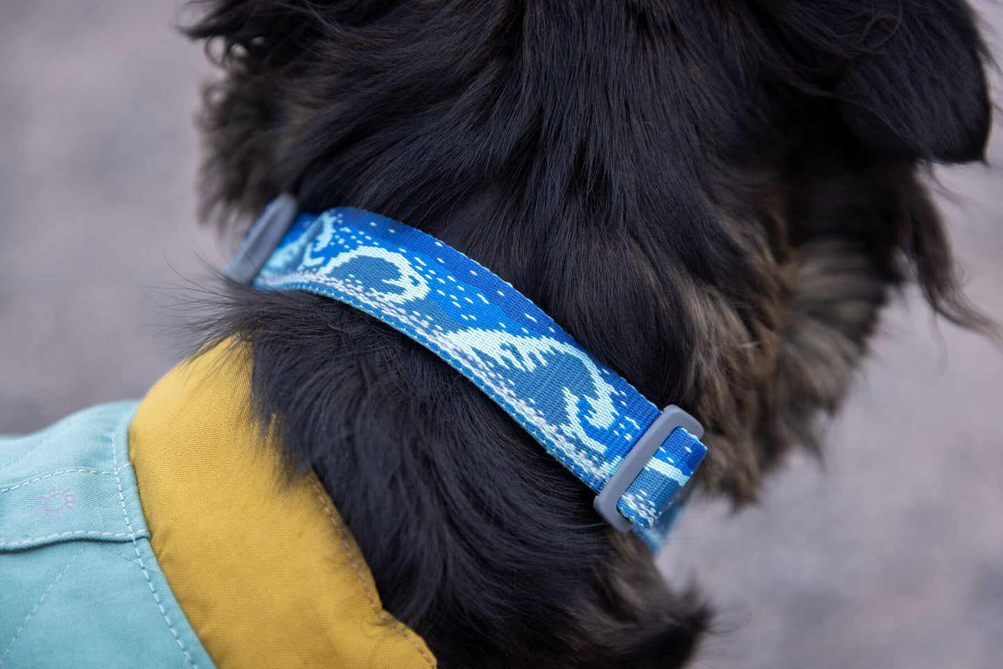 Ruffwear - Crag Collar - Midnight Wave