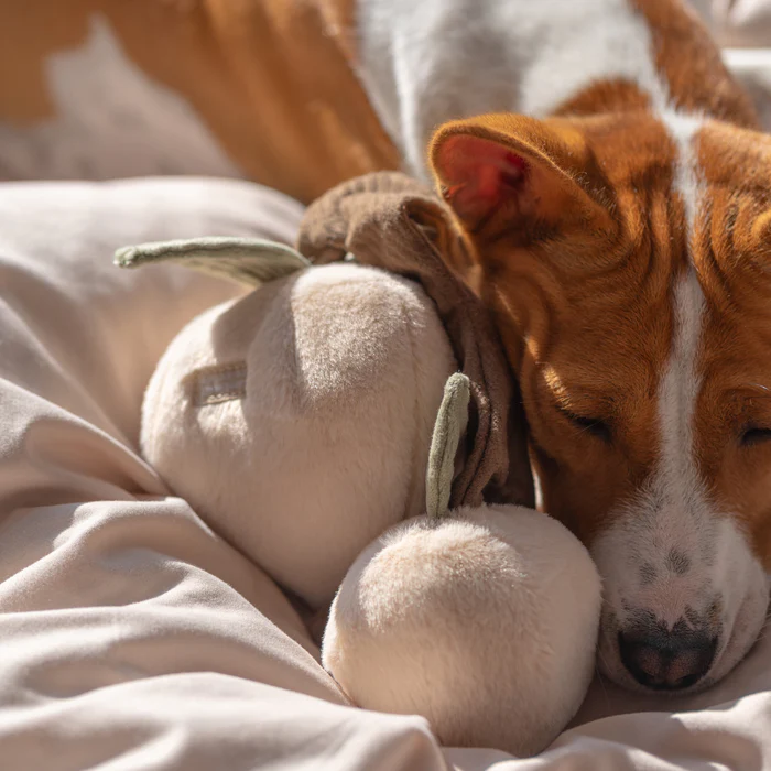 Lambwolf Collective - MOMO Peach Dog Toy