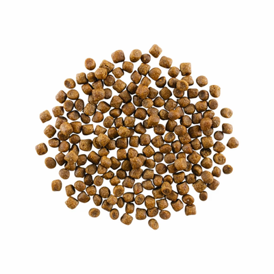 Go! - Skin & Coat Care - Dry Cat Food