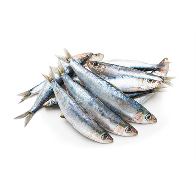 Iron Will Raw - Sardines 1 lb Bag