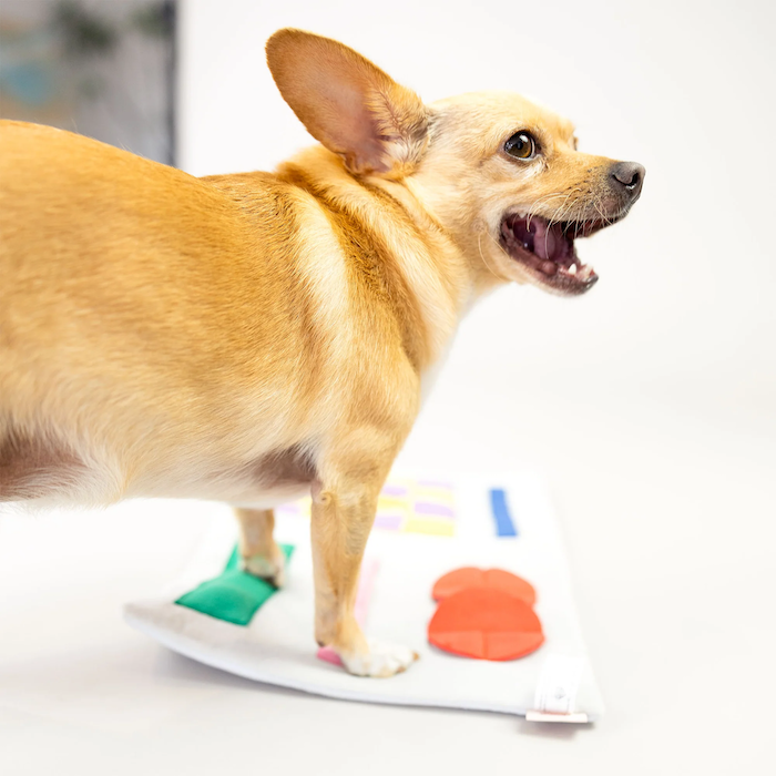 The Furryfolks - Newspaper Nosework Toy
