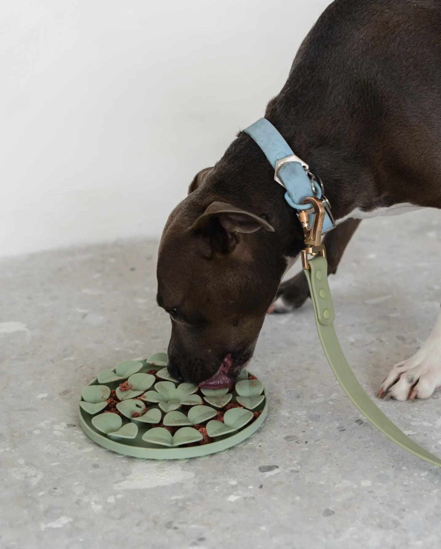 Dexypaws - Sage Green Silicone Snuffle Mat