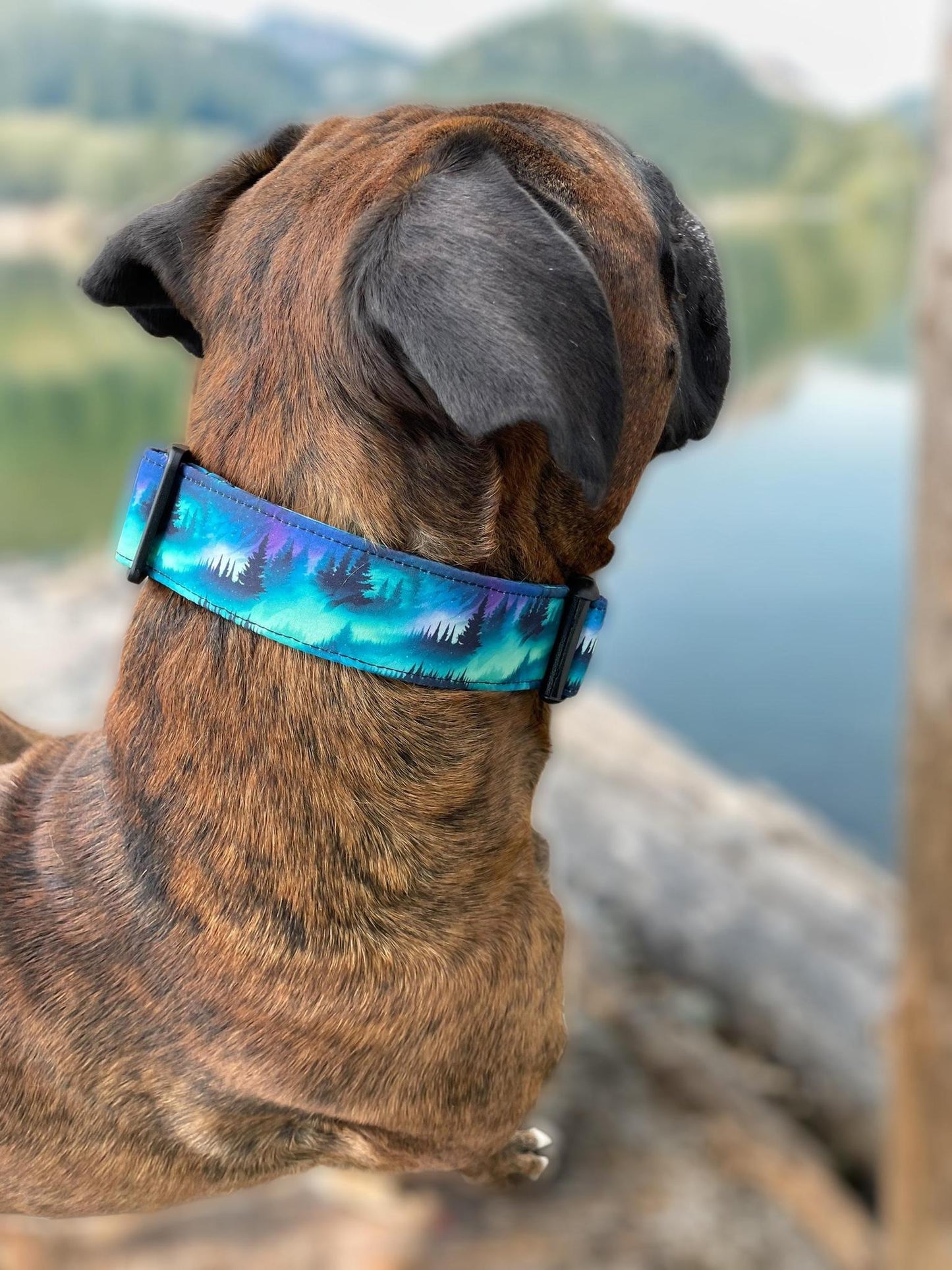 Collar Crazy Co - Aurora - Collar