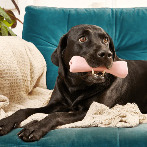 Beco - Treat Bone