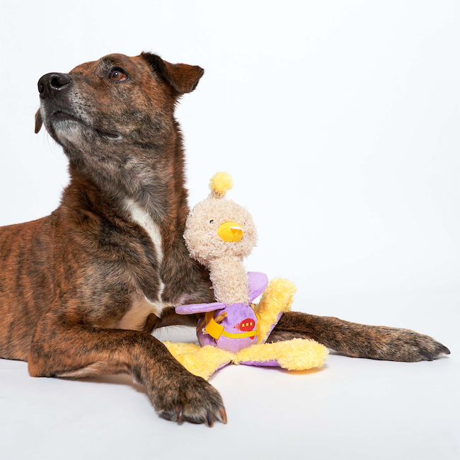 The Furryfolks - OstriKraken Nosework Toy