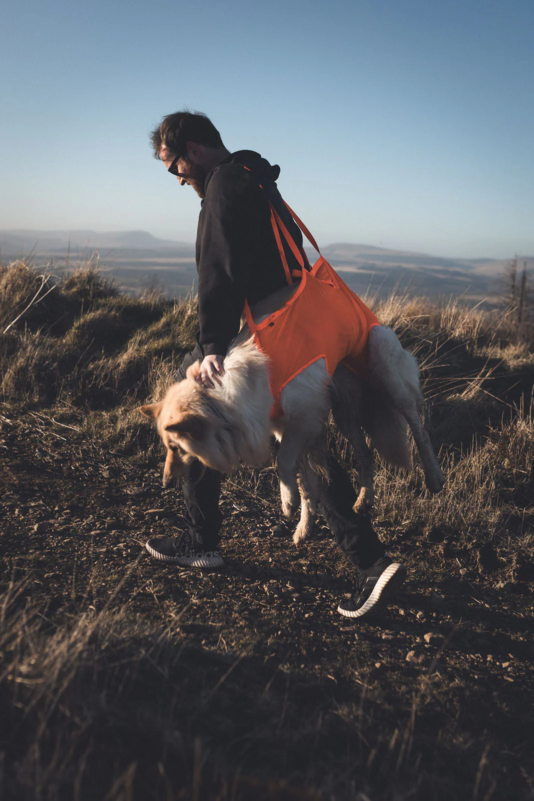 Non-stop Dogwear - Dog Rescue Sling