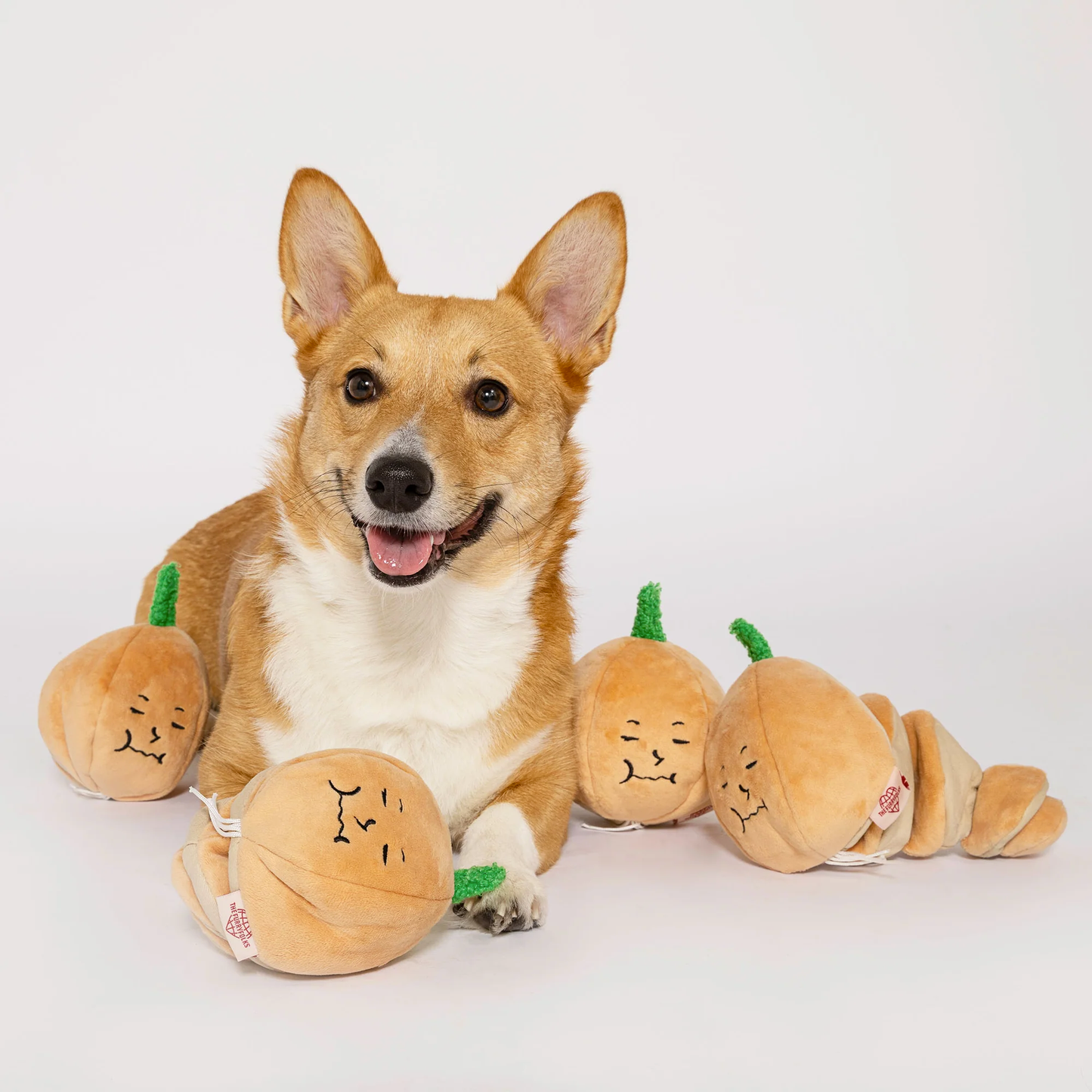 The Furryfolks - Yellow Onion Nosework Toy