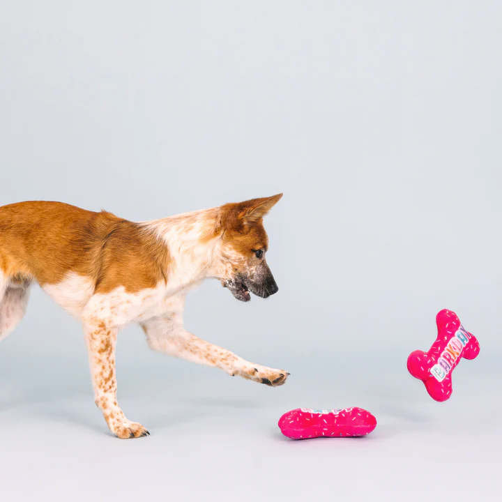 Fringe - Its My Barkday