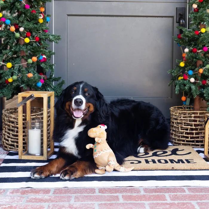 Fringe - Cookie-Saurus Dog Toy