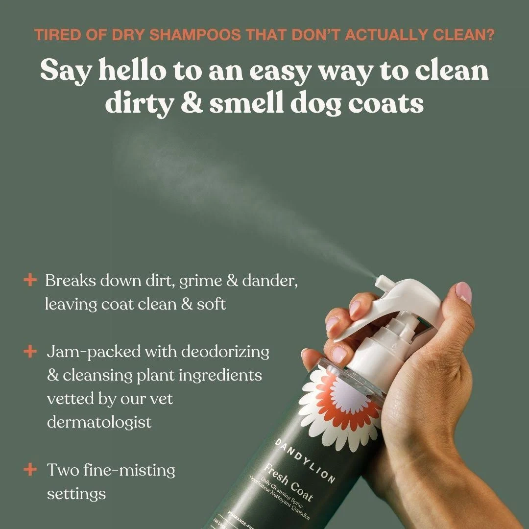 Dandylion - Fresh Coat Daily Cleansing Spray - Waterless No-Rinse Shampoo