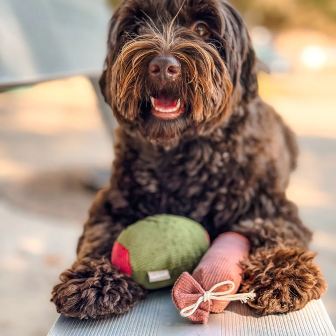 Lambwolf Collective - Olive & Salami Dog Toy
