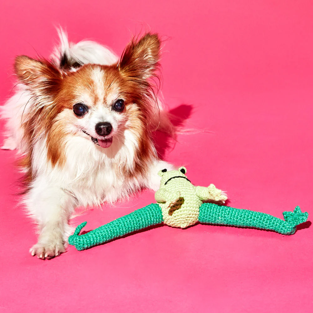 Ware Of The Dog - Hand Crochet Frog Dog Toy