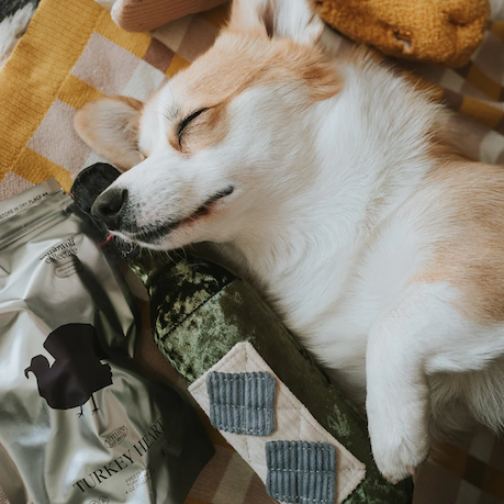 Lambwolf Collective - Merlot Dog Toy
