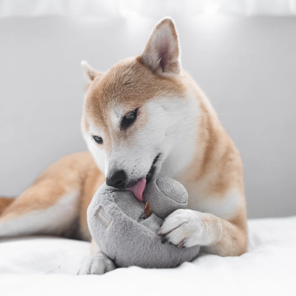 Lambwolf Collective - Guu Snuffle Mushroom Dog Toy