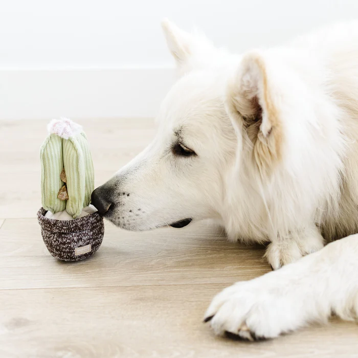 Lambwolf Collective - Cactus Dog Toy