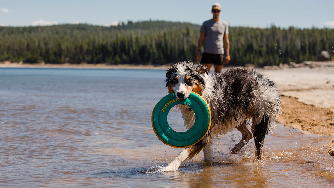 Ruffwear - Hydro Plane
