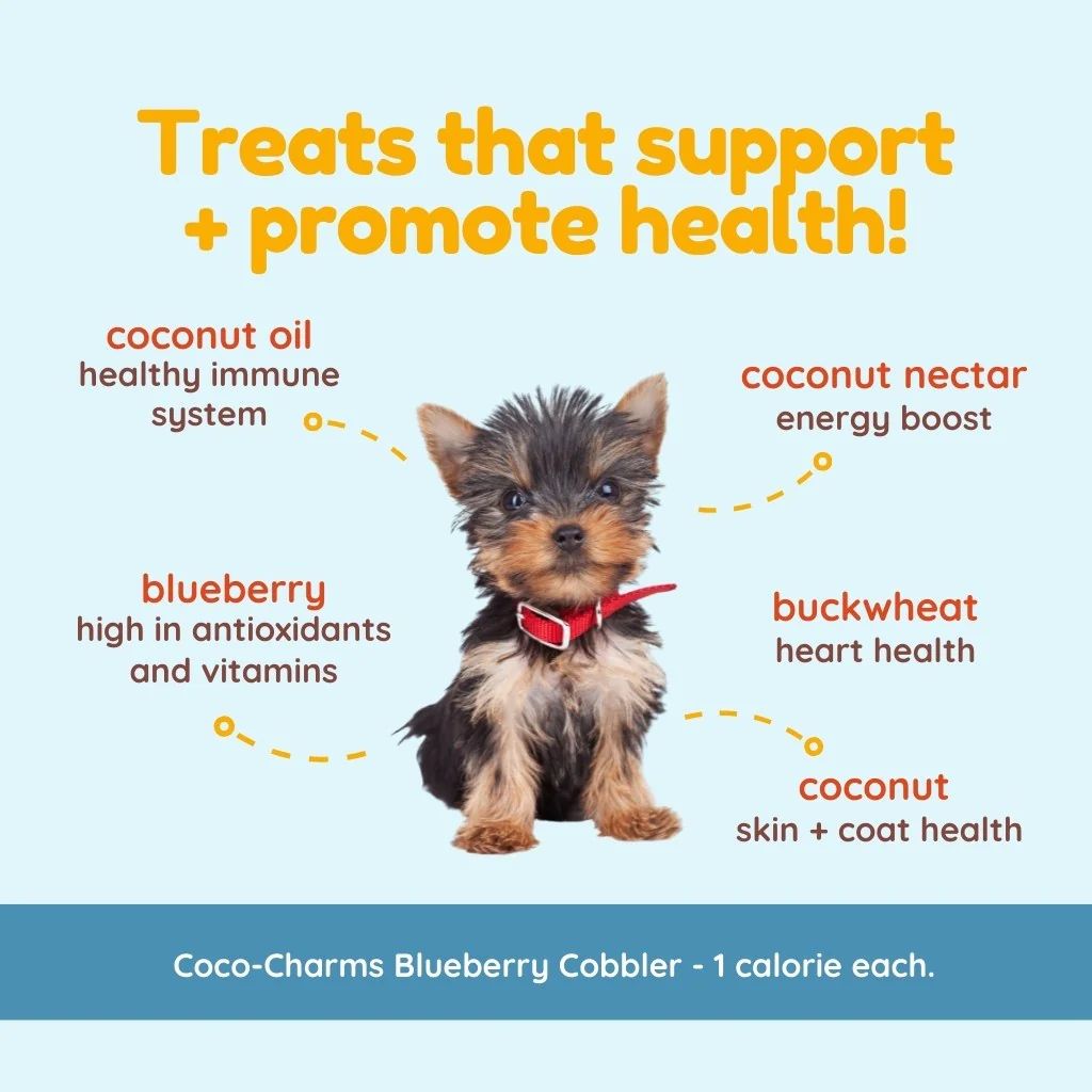 Cocotherapy - Coco-Charms Training Treats - Blueberry