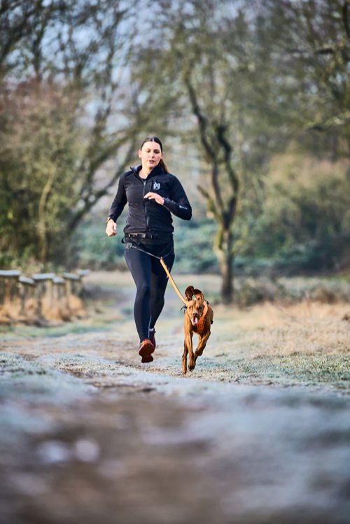 Non-stop Dogwear - CaniX Belt 2.0
