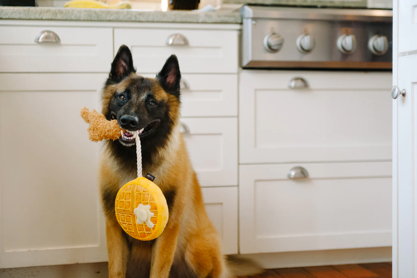 P.L.A.Y. - Barking Brunch, Chicken & Woofles
