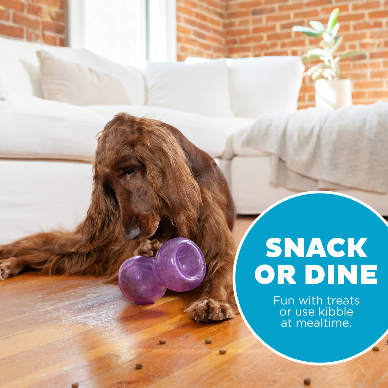 Planet Dog - Double Snoop Stuffer Dog Toy