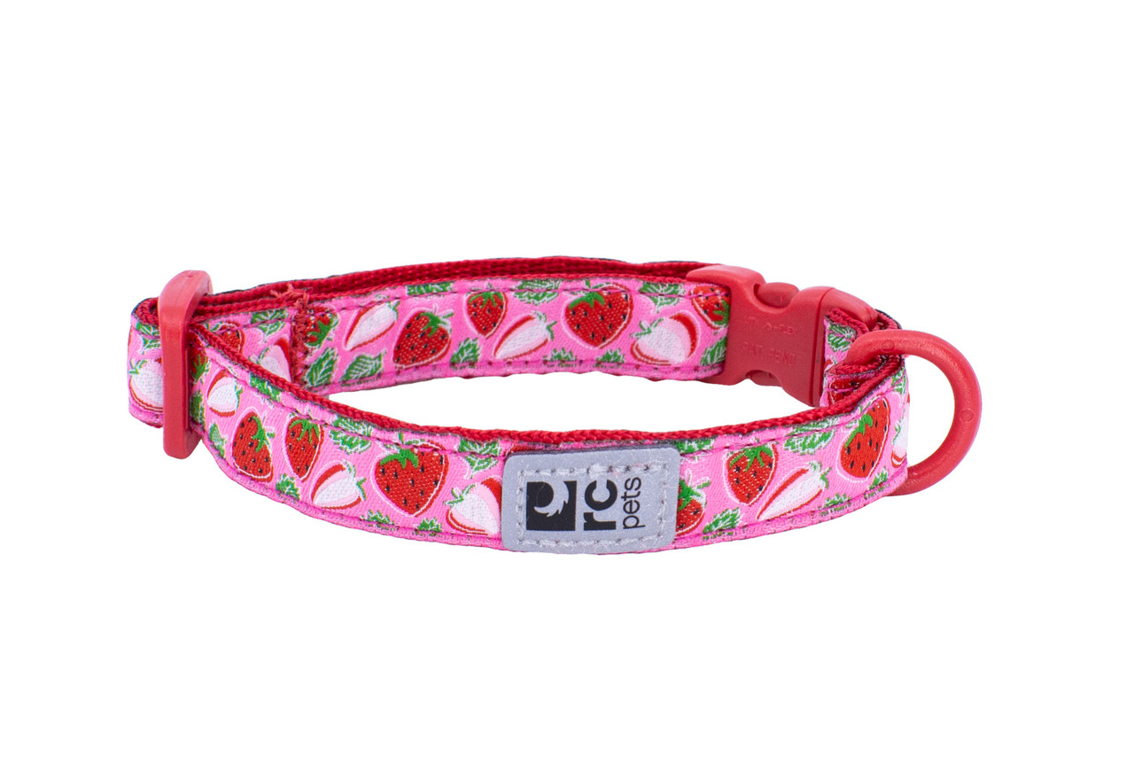 RC Pets - Kitty Breakaway Collar