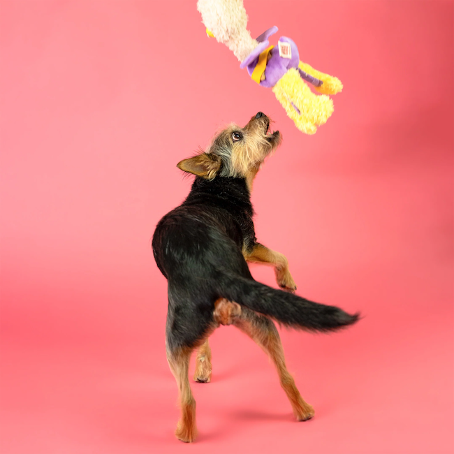 The Furryfolks - OstriKraken Nosework Toy