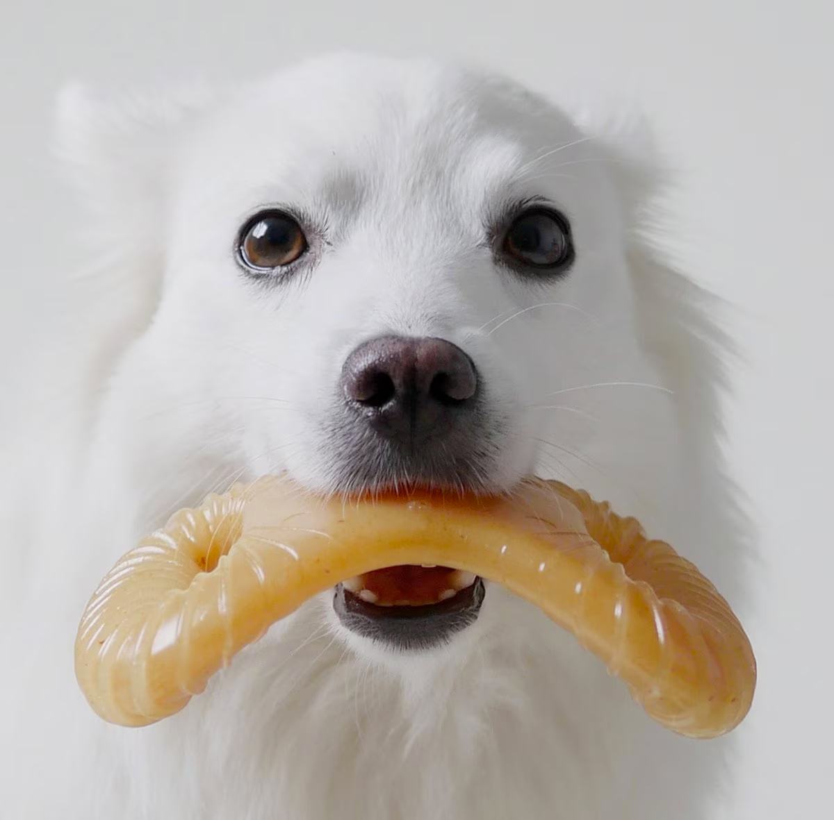 Benebone - Dental Bone
