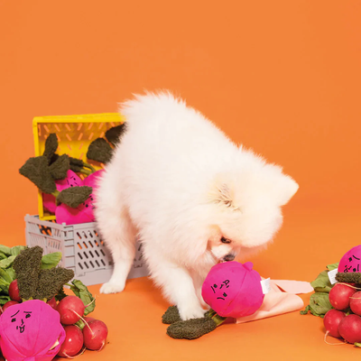 The Furryfolks - Radish Nosework Toy