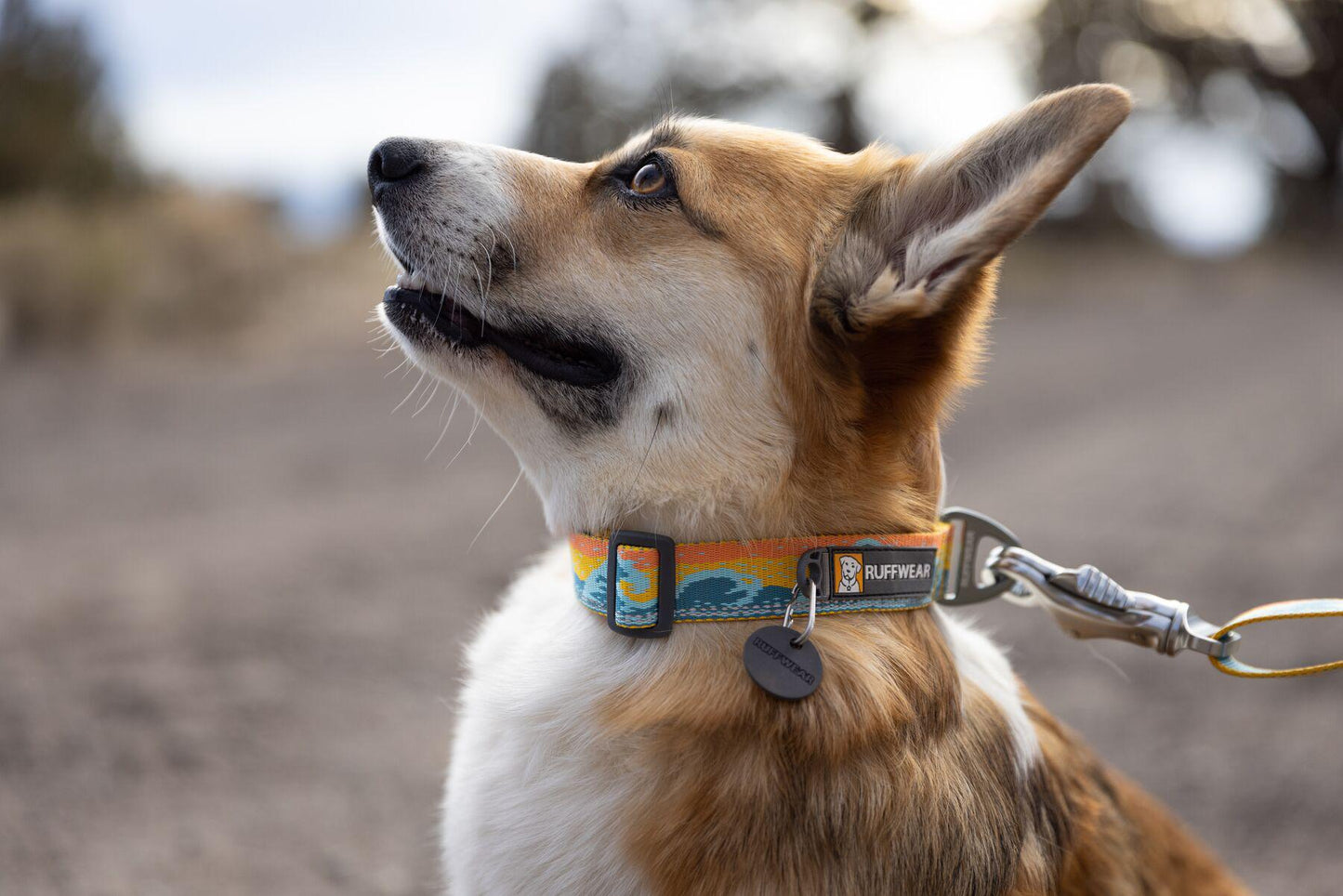 Ruffwear - Crag Collar - Rising Wave
