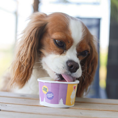 Frozen Goat - Doggy Ice Cream