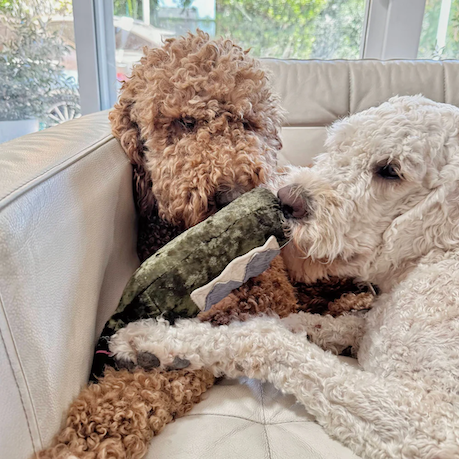 Lambwolf Collective - Merlot Dog Toy
