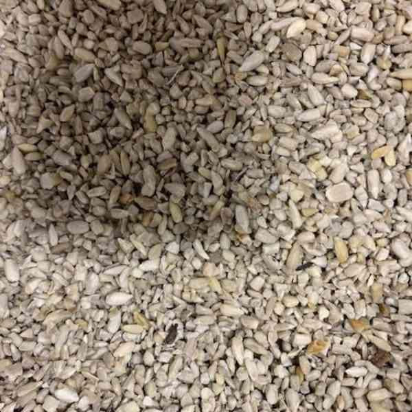 Bird's Choice - Medium Sunflower Chips