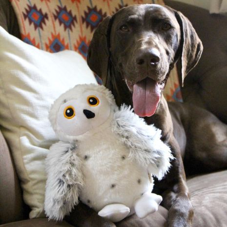 Tall Tails - Animated Snow Owl Dog Toy