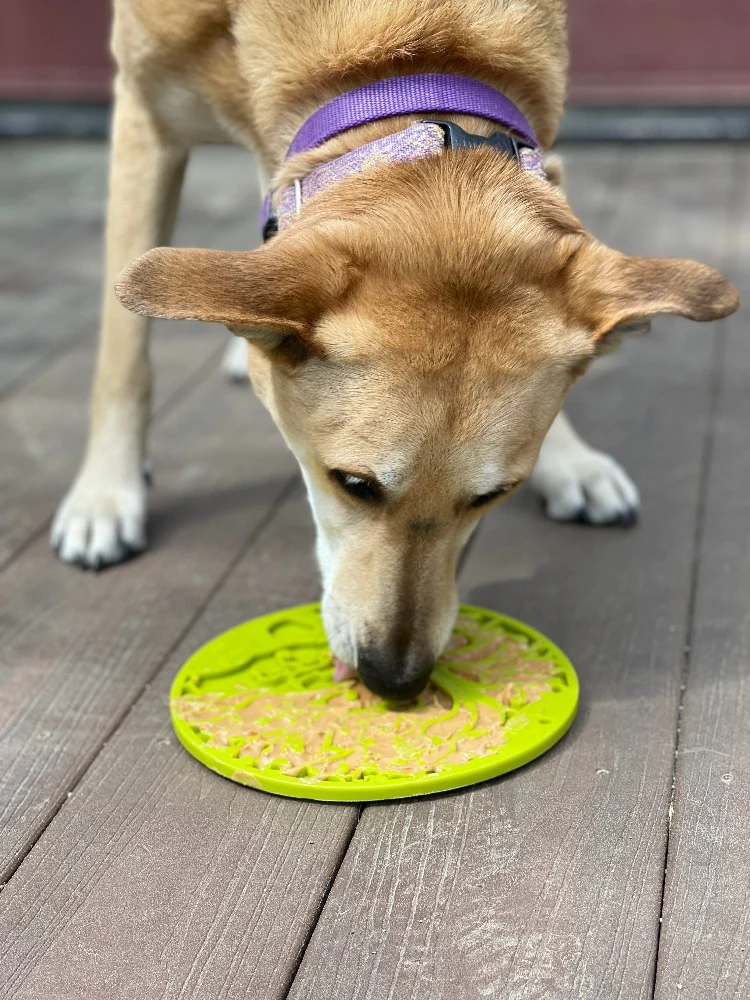 SodaPup - Tree of Life Enrichment Lick Mat