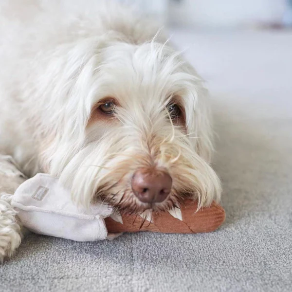 Lambwolf Collective - Baguette Dog Toy