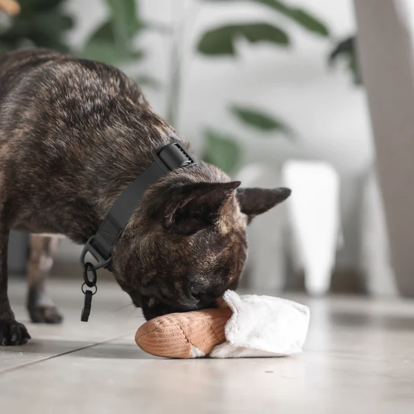 Lambwolf Collective - Baguette Dog Toy