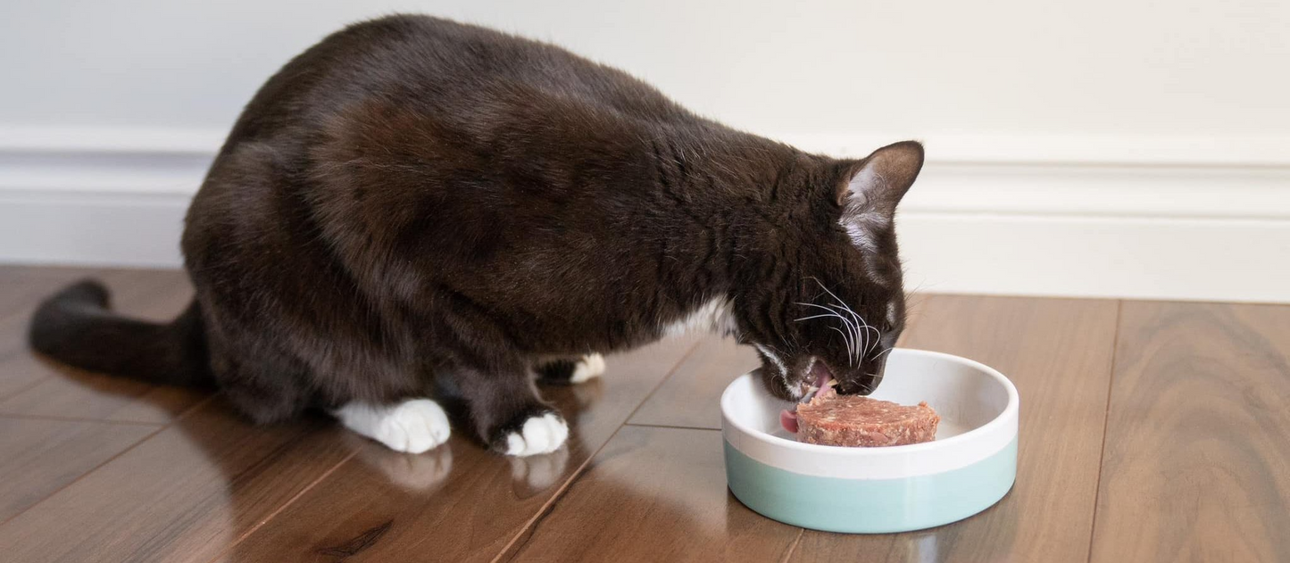 Evolution Raw - Raw Cat Food