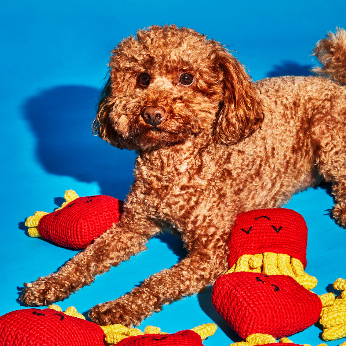 Ware Of The Dog - Hand Crochet French Fries Dog Toy
